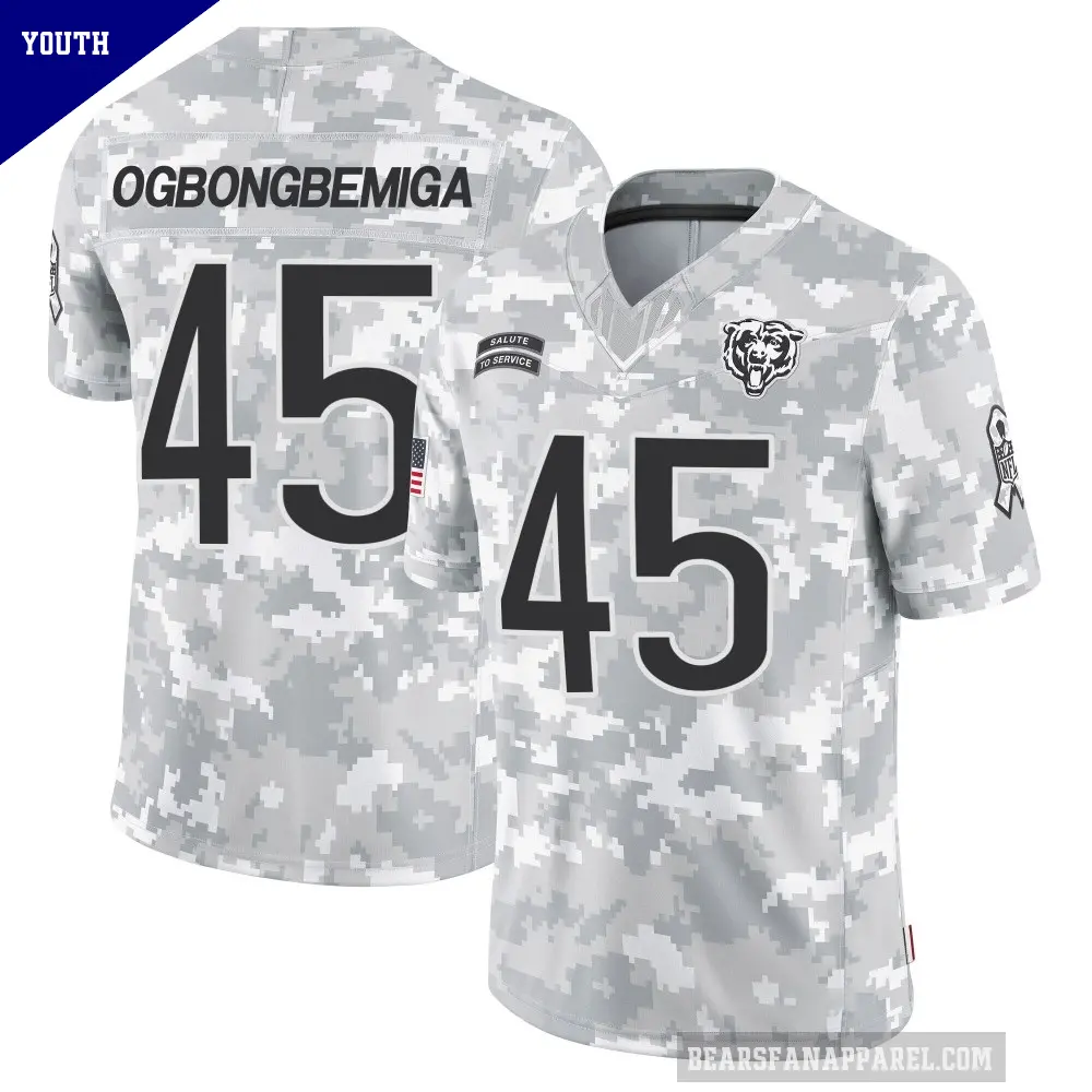 Youth Chicago Bears ＃45 Amen Ogbongbemiga Arctic Camo Limited 2024 Salute to Service Jersey